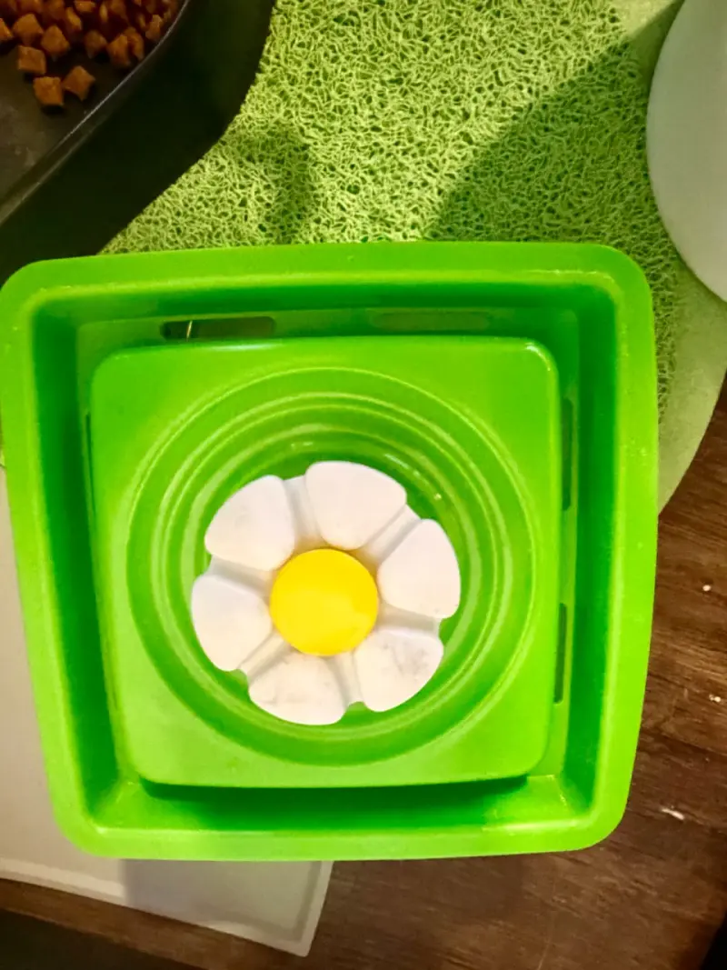 Fuente de agua para mascotas Catit 2.0 con flor - 5