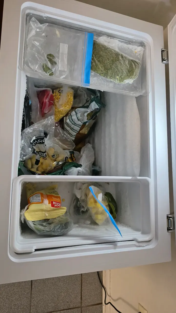 Congelador/refrigerador horizontal Fensa Z200D - 4