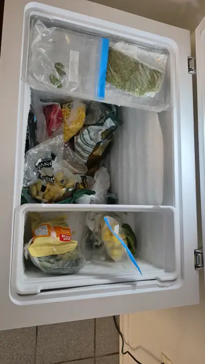 Congelador/refrigerador horizontal Fensa Z200D - miniatura 4