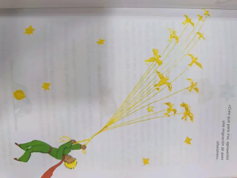 Libro El Principito edición ilustrada - 3
