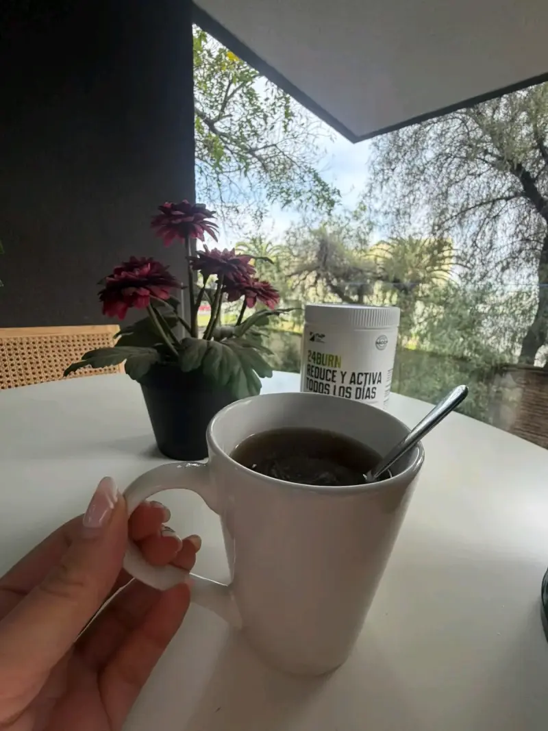 Suplemento 24Burn con Té Verde y Ginseng + Renova - 4