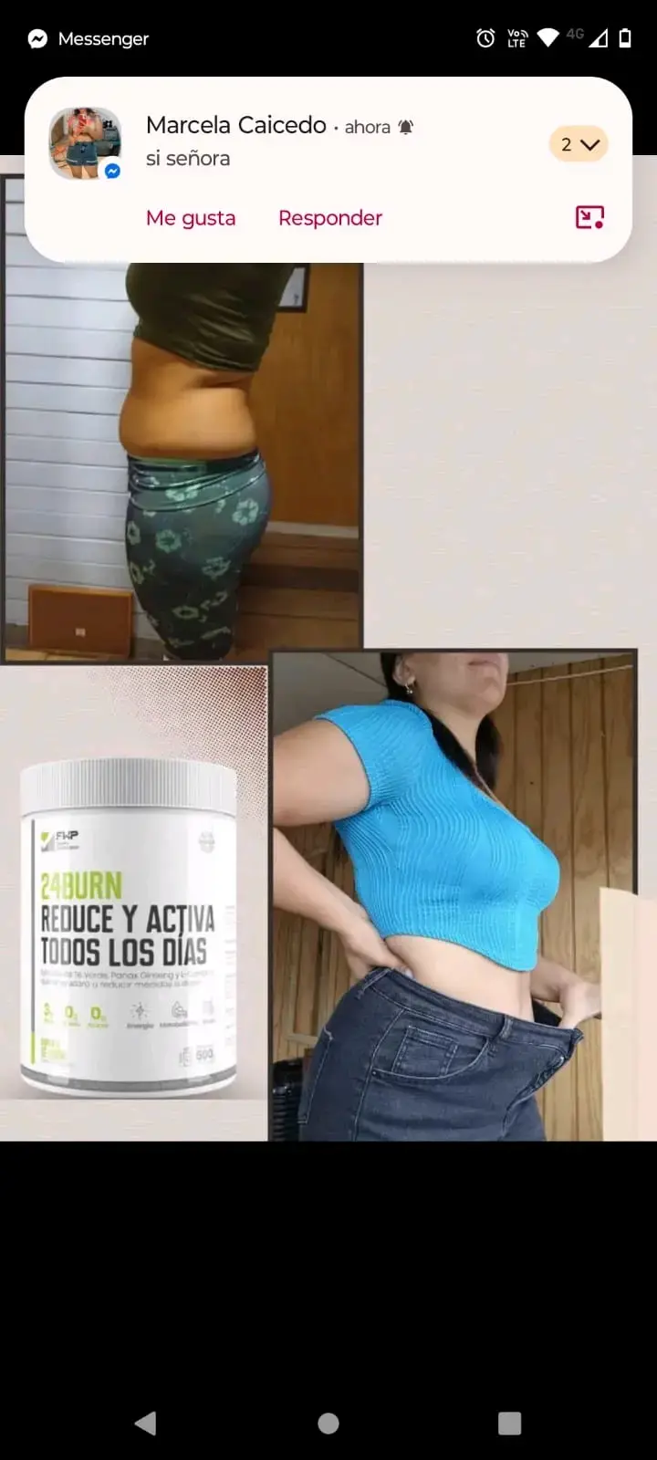 Suplemento 24Burn con Té Verde y Ginseng + Renova - 5