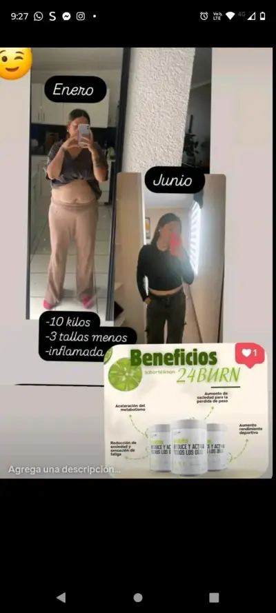 Suplemento 24Burn con Té Verde y Ginseng + Renova - miniatura 6