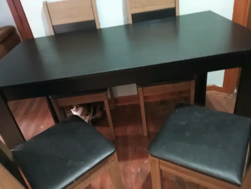 Juego de comedor negro con 4 sillas de madera - 3