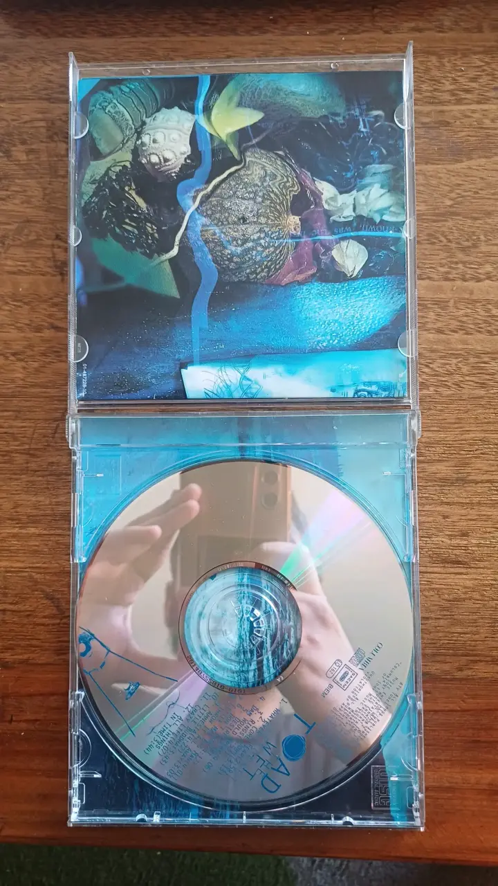 CD Toad The Wet Sprocket Coil - 3