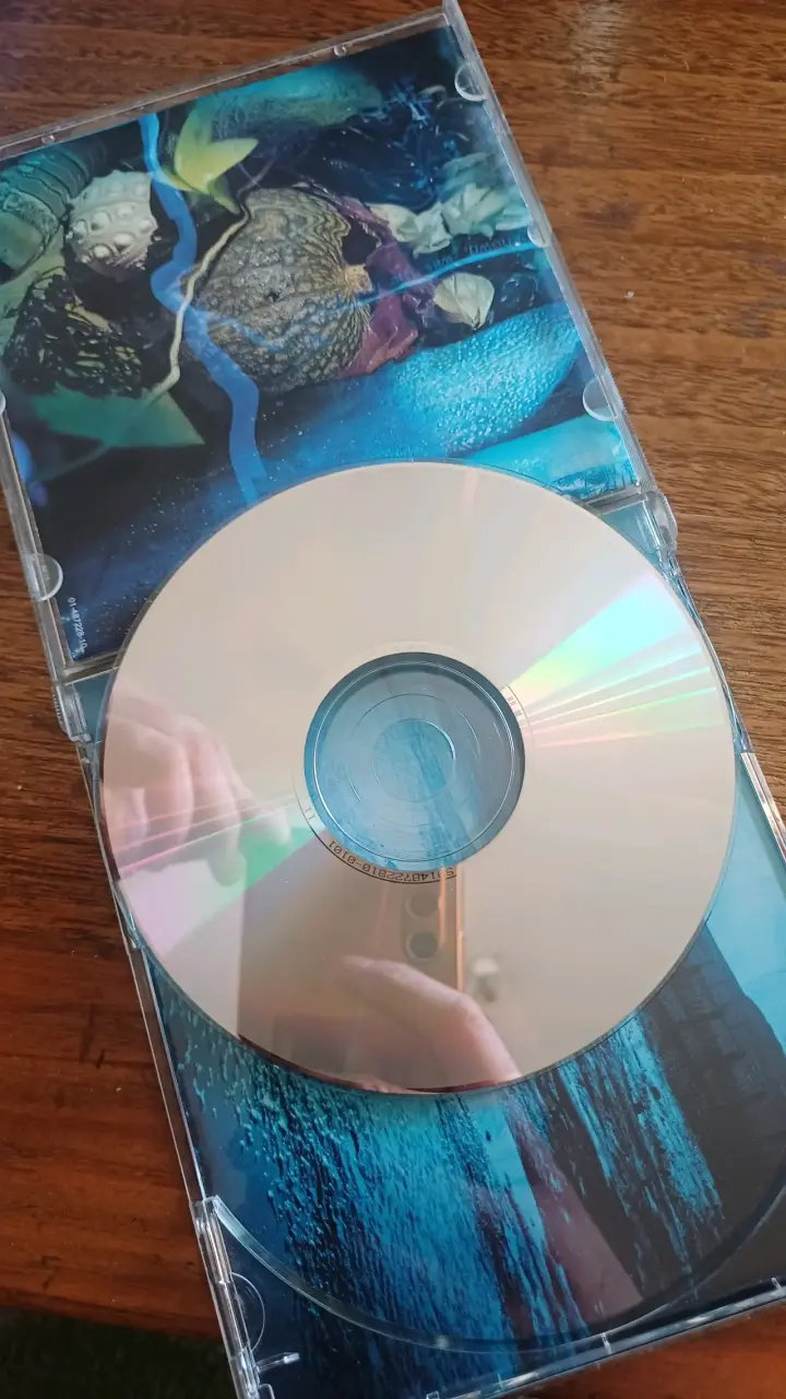 CD Toad The Wet Sprocket Coil - 4