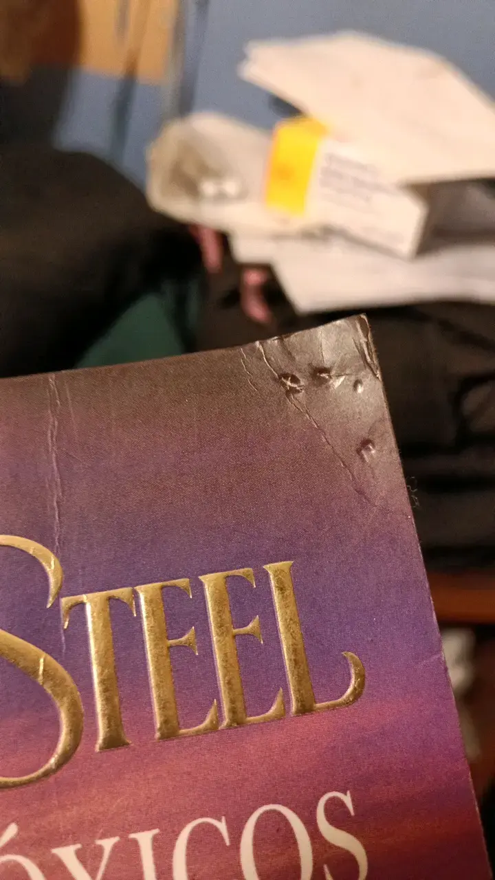 Libro Solteros Tóxicos de Danielle Steel - 2