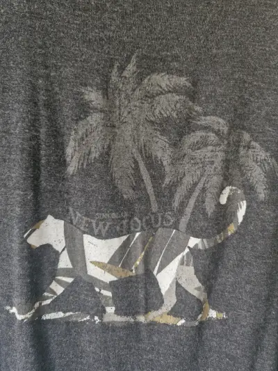 Polera gris con diseño de tigre Singolare - miniatura 4