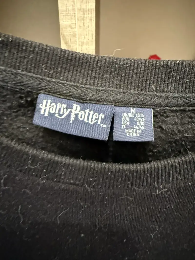 Polerón Harry Potter Negro 'You're a Wizard Harry' - 2