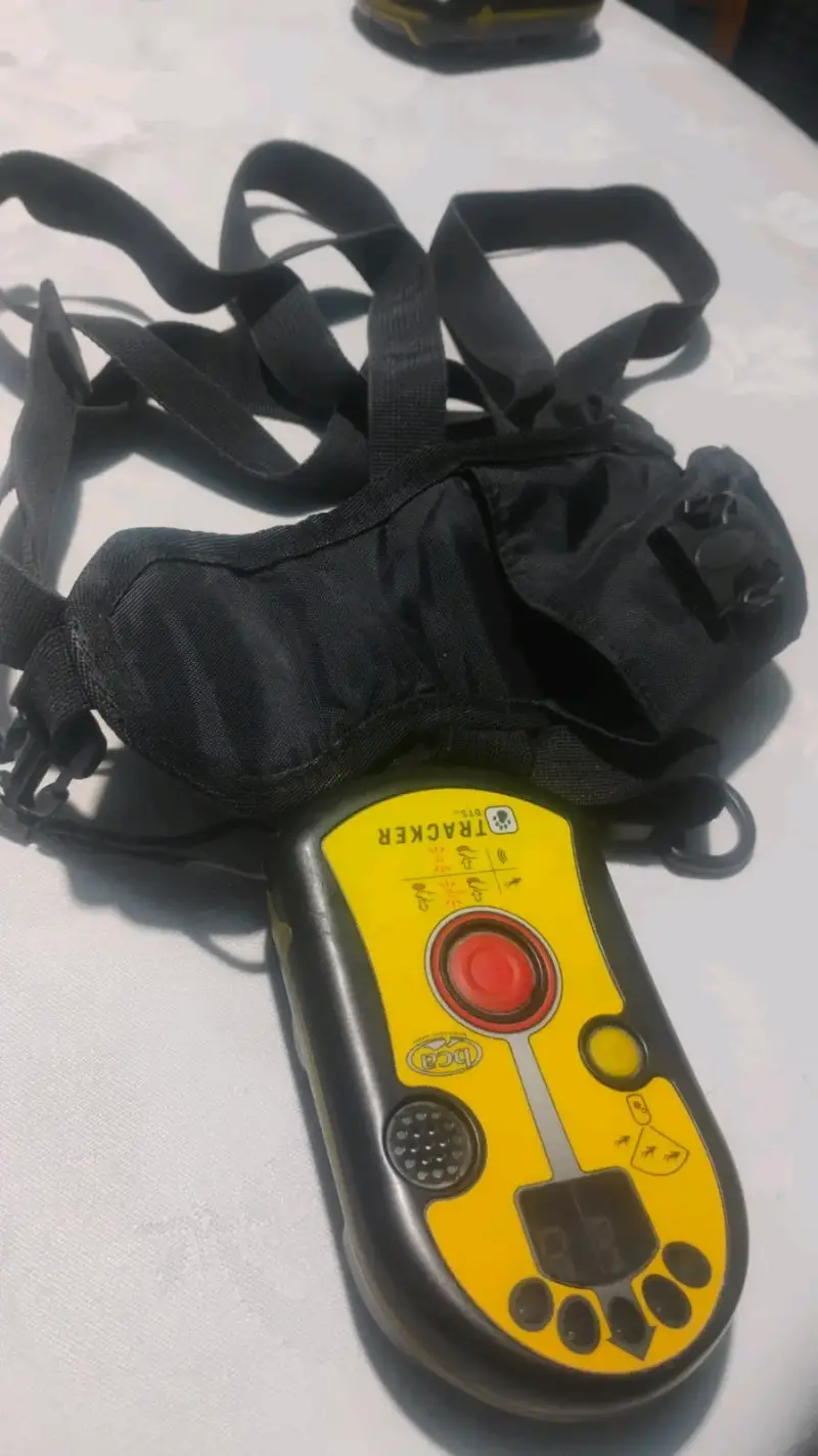 Transceptor de Avalanchas Pieps DSP Pro