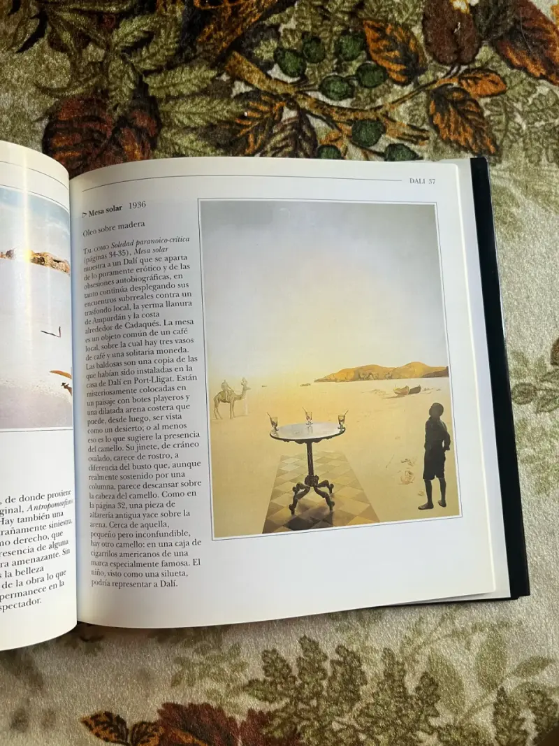 Libro 'Vida y Obra de Dalí' por Nathaniel Harris - 2