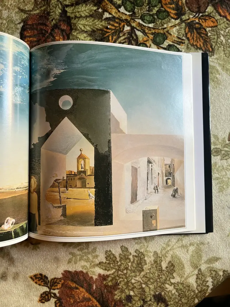 Libro 'Vida y Obra de Dalí' por Nathaniel Harris - 3