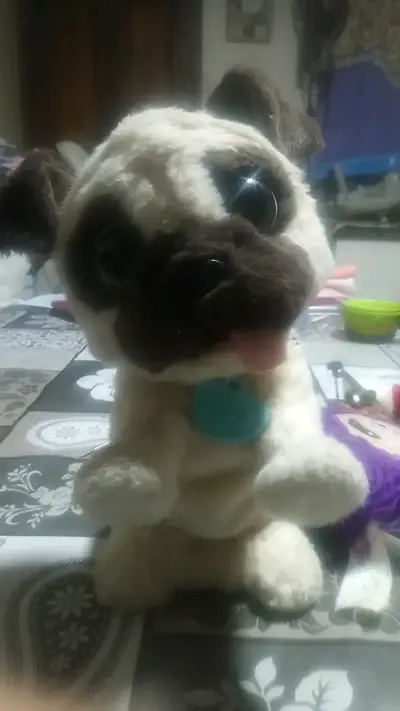 Peluche de perro pug con collar azul - miniatura 1