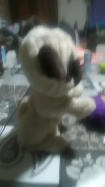 Peluche de perro pug con collar azul - miniatura 2