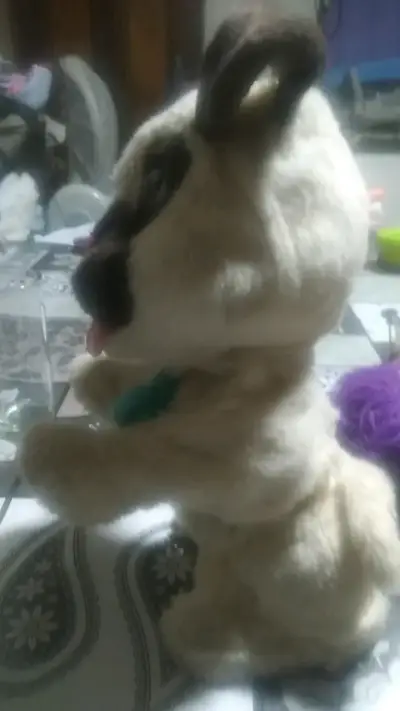Peluche de perro pug con collar azul - miniatura 4