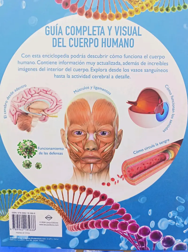 Enciclopedia Actualizada del Cuerpo Humano - 2