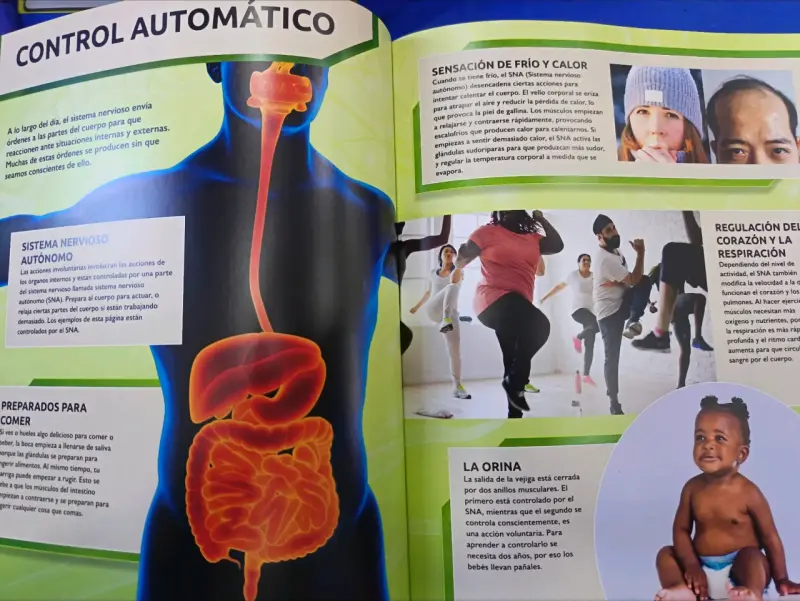 Enciclopedia Actualizada del Cuerpo Humano - 5