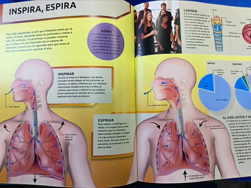 Enciclopedia Actualizada del Cuerpo Humano - 6