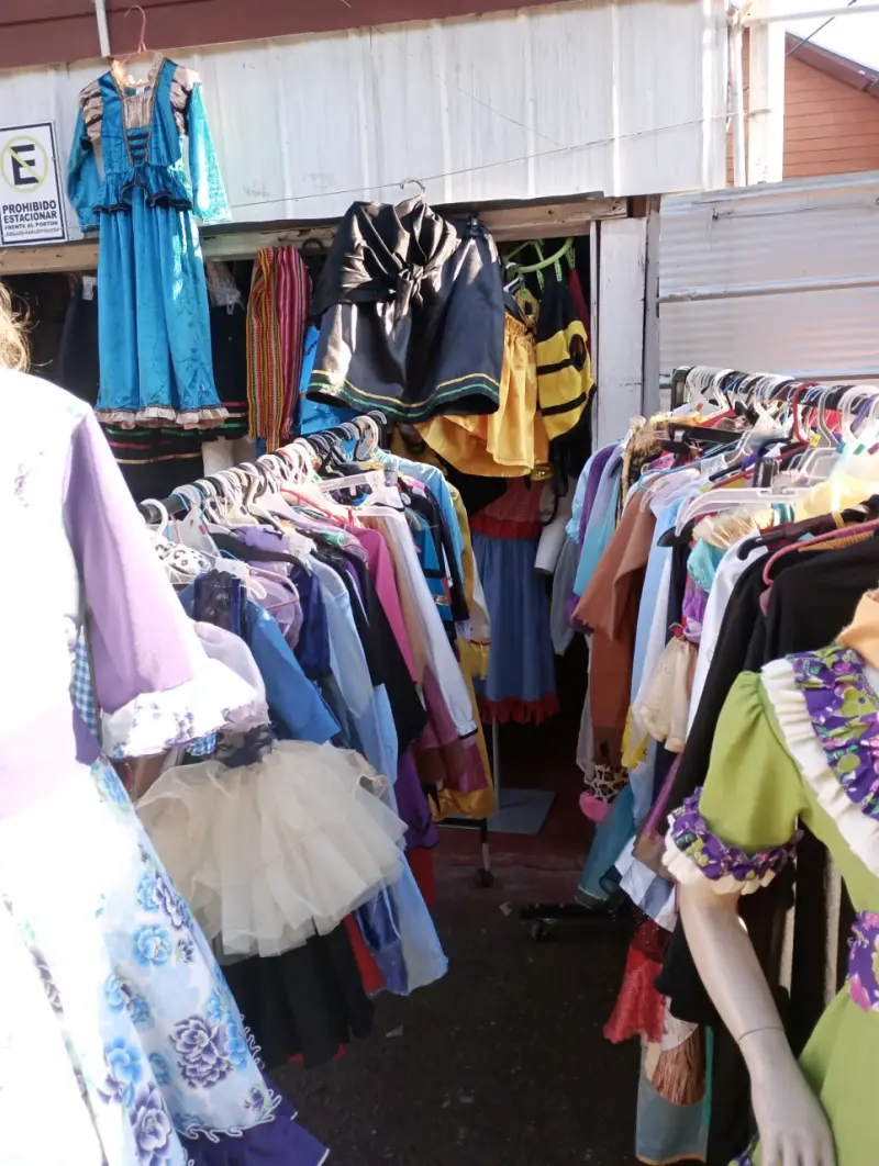 Vestidos de disfraces variados para adultos y niños