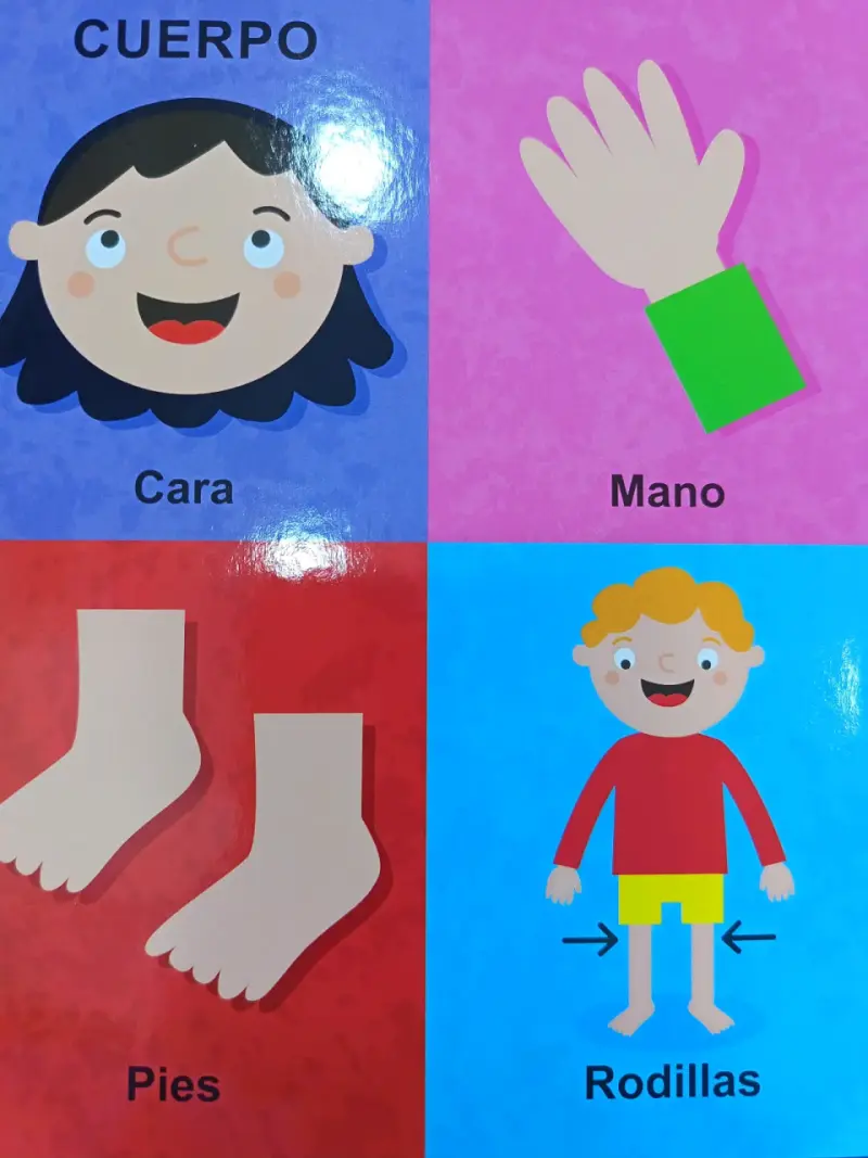 Libro infantil 'Mis primeras 100 palabras' con ilu - 6