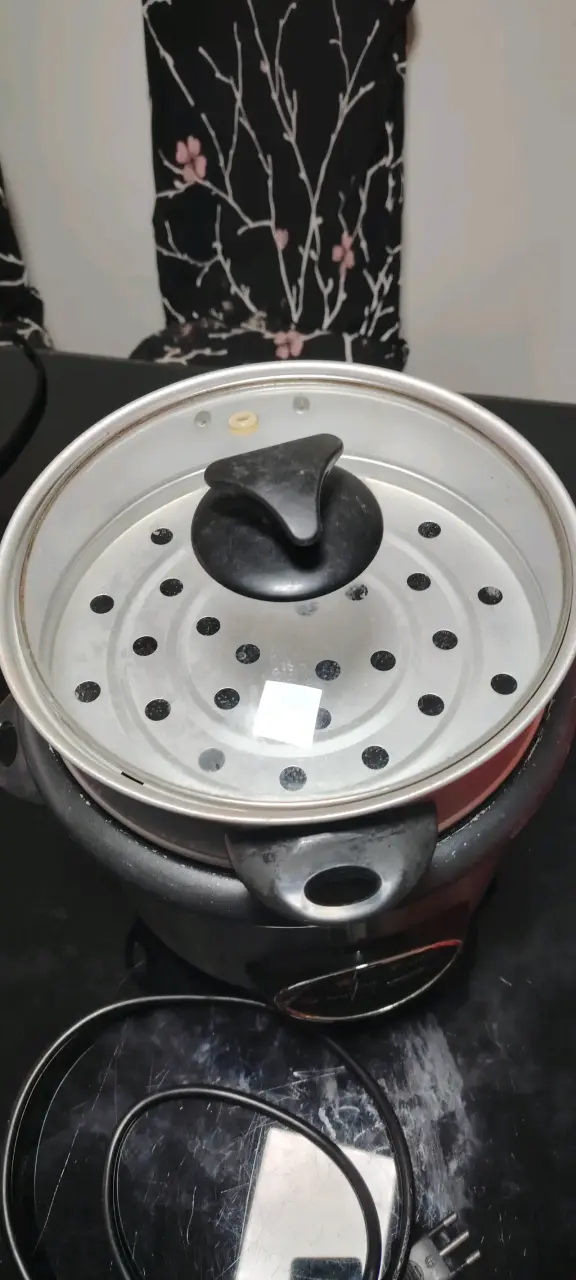 Arrocera eléctrica Thomas con tapa de vidrio - 3