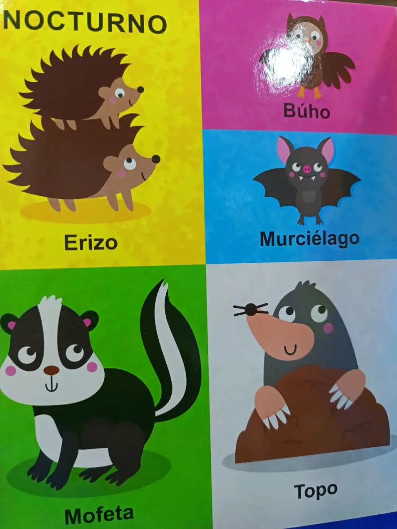 Libro infantil 'Mis primeros 100 animales' ilustra - 4