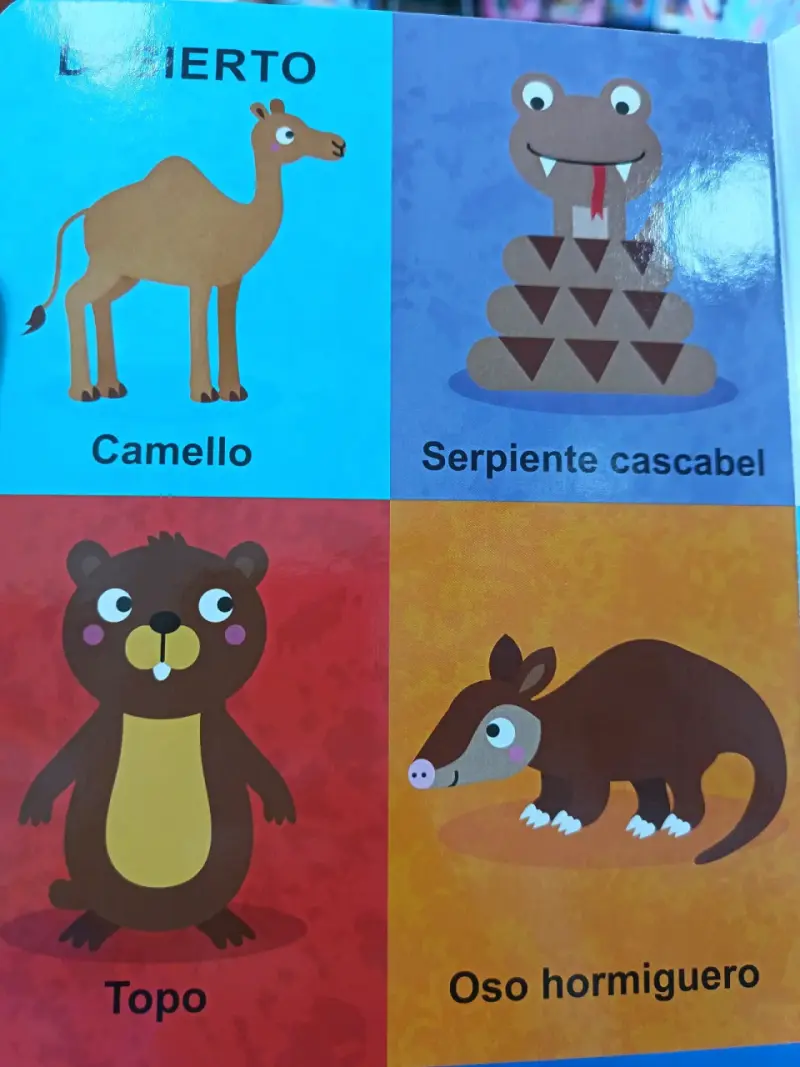 Libro infantil 'Mis primeros 100 animales' ilustra - 5