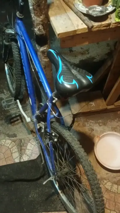 Bicicleta montaña azul Oxford en buen estado - miniatura 2