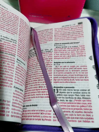 Biblia Letra Grande Morada con Cierre - miniatura 3