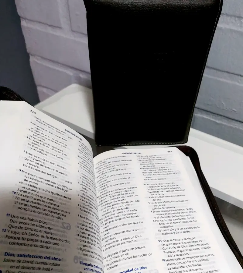 Santa Biblia Reina Valera 1960 con Funda de Cuero - 3