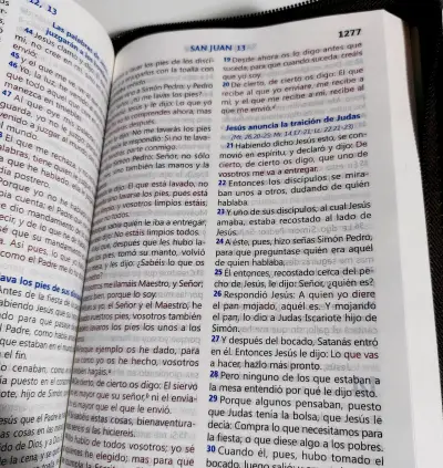 Santa Biblia Reina-Valera 1960 con Cierre - miniatura 1