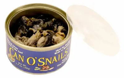 Lata de Caracoles Zoo Med's para Reptiles y Aves - miniatura 2