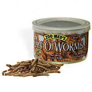 Lata de Gusanos Zoo Med's Can O' Worms