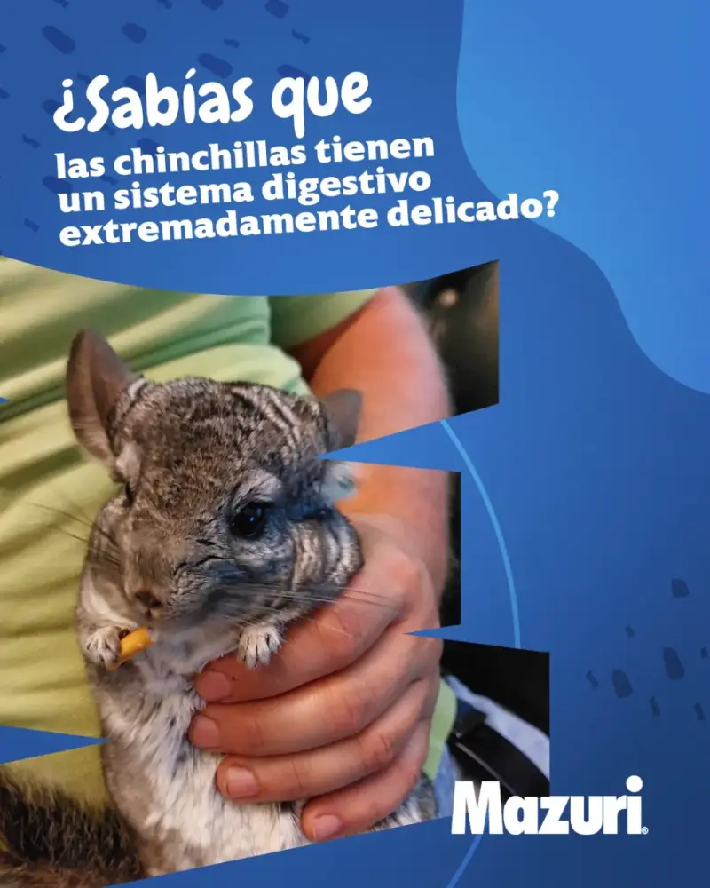Alimento Mazuri para chinchillas 1.13kg