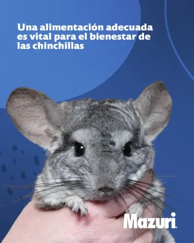 Alimento Mazuri para chinchillas 1.13kg - miniatura 2