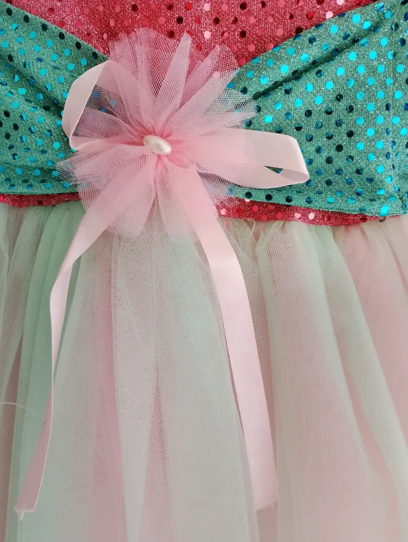 Disfraz de niña con lentejuelas y tul - 1