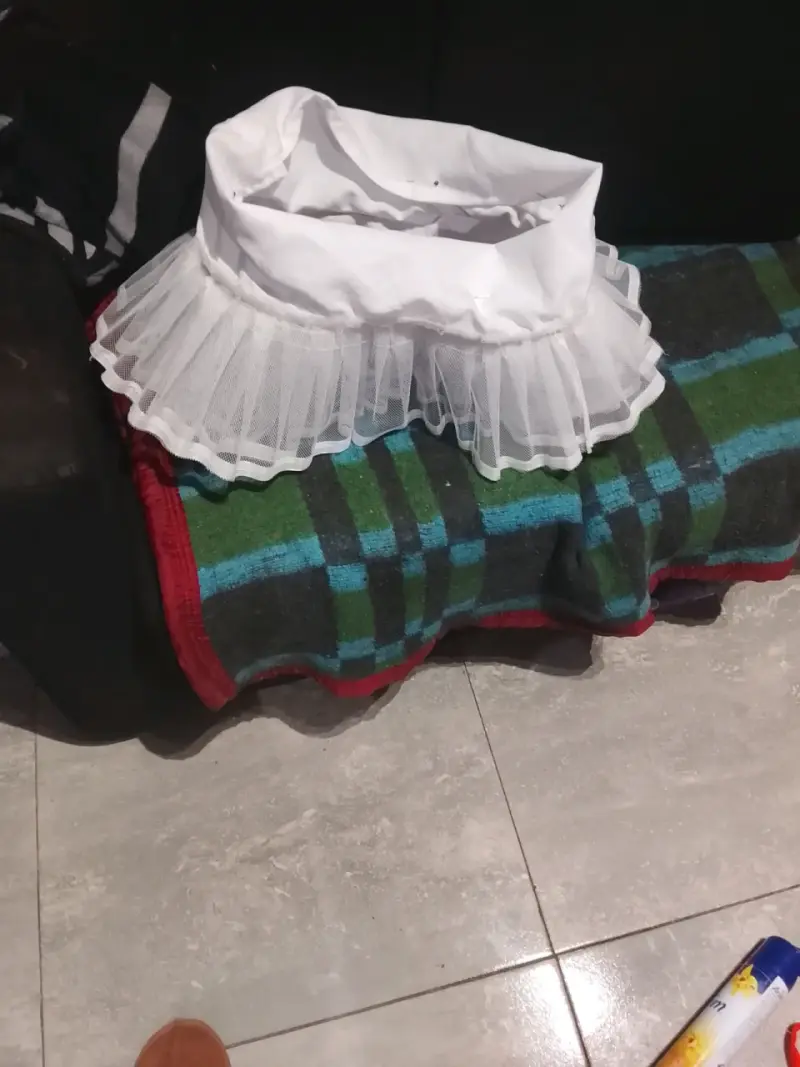Falso para vestido de huasa - 1