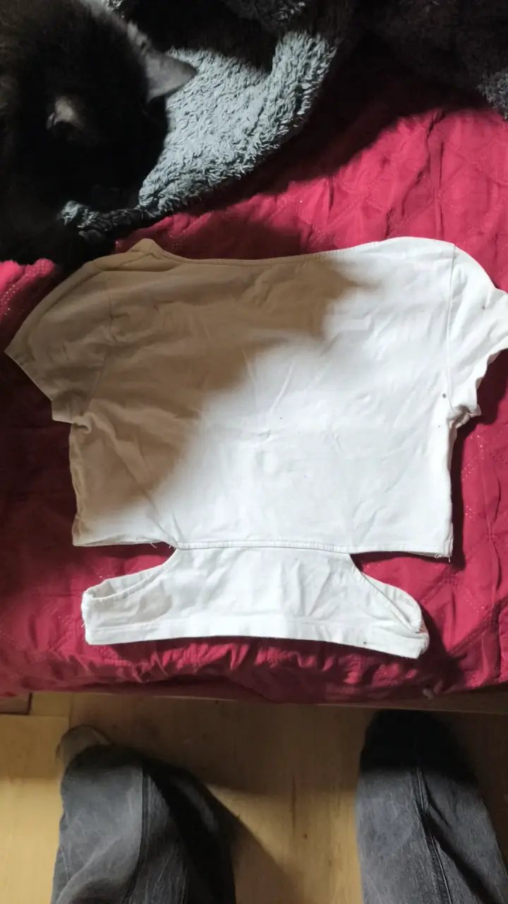 Polera corta blanca Seriously Soft - 2