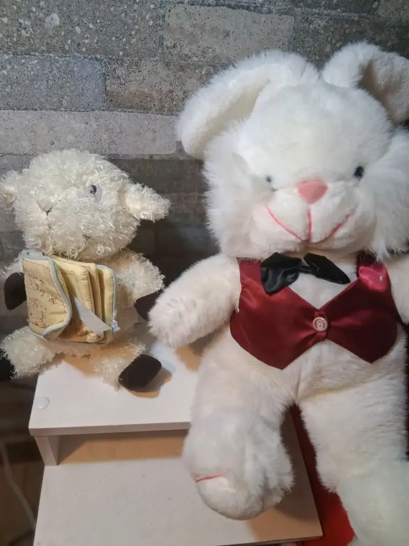 Peluches de Conejo y Oveja con Vestimenta Elegante - 2