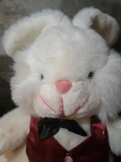 Peluches de Conejo y Oveja con Vestimenta Elegante - miniatura 4
