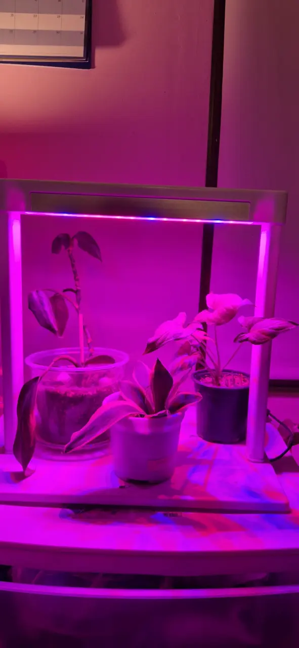 Estación de luz de crecimiento para plantas - 2