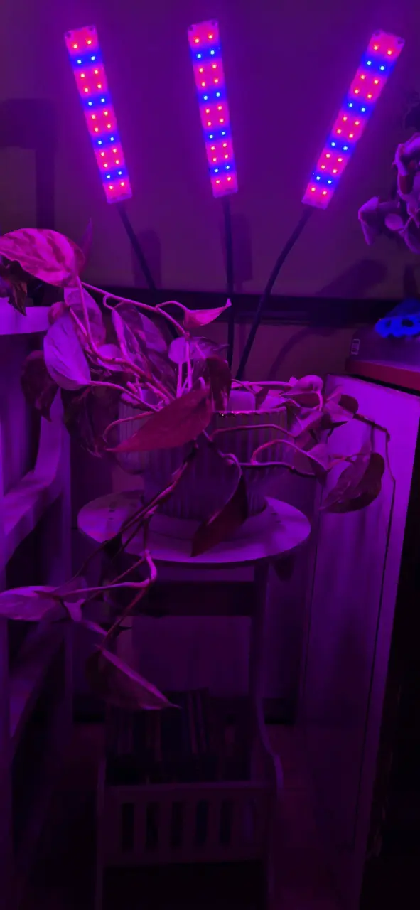Luz LED para plantas con soporte ajustable - 1