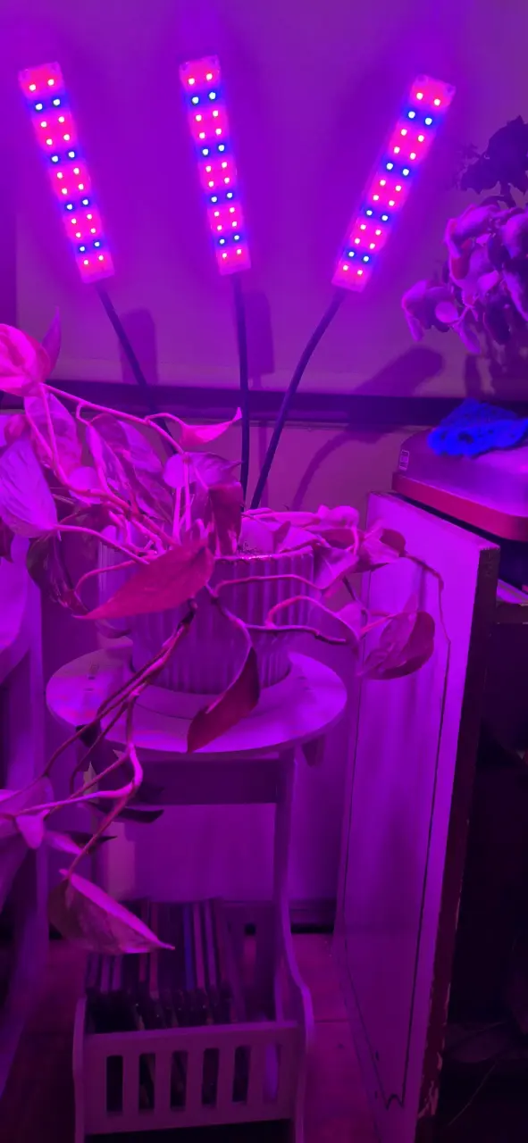 Luz LED para plantas con soporte ajustable - 2