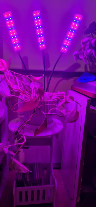 Luz LED para plantas con soporte ajustable - miniatura 2