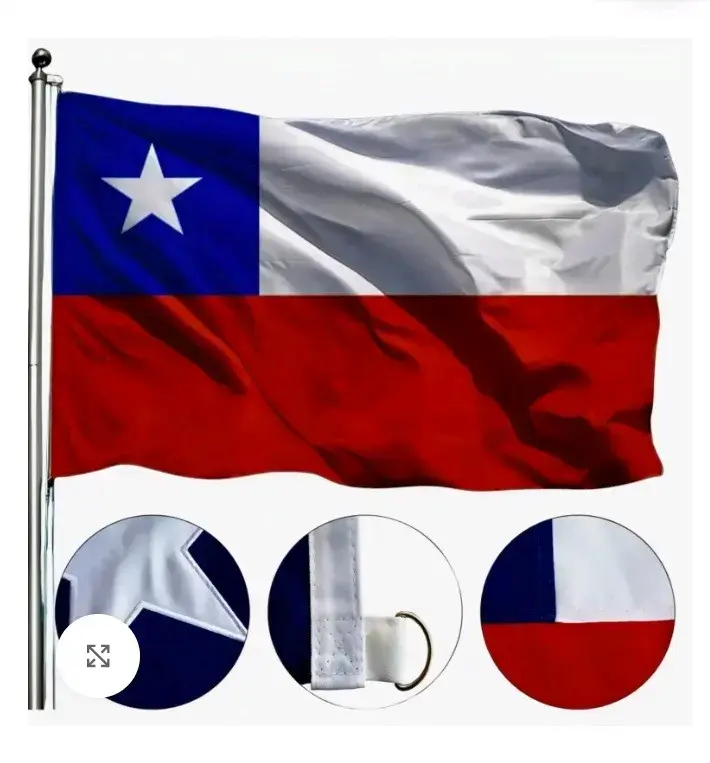 Bandera Chilena Plumetti 120x180 cm