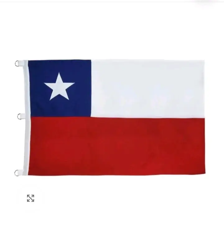 Bandera Chilena Plumetti 60x90 cm
