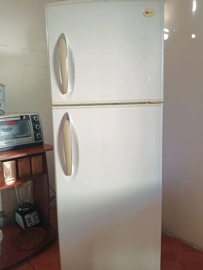 Refrigerador LG de dos puertas en buen estado - 1