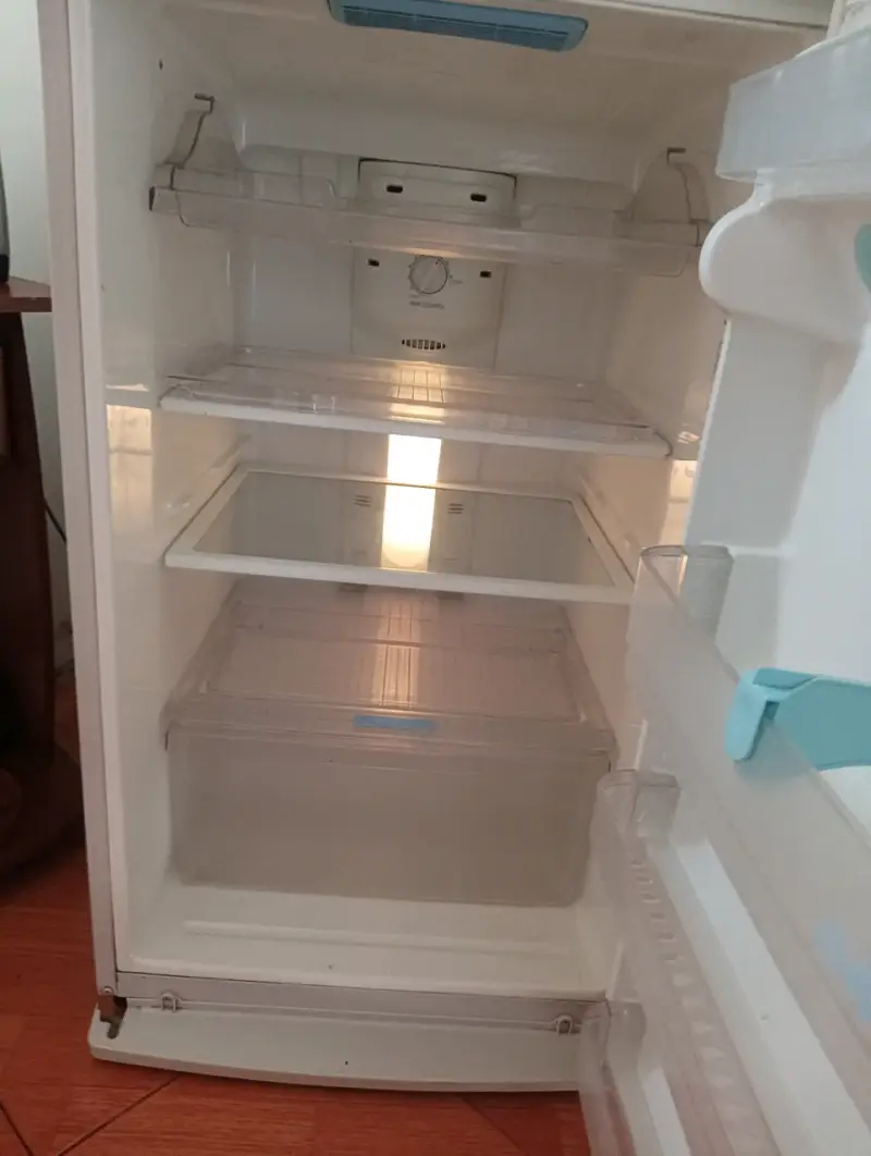 Refrigerador LG de dos puertas en buen estado - 3