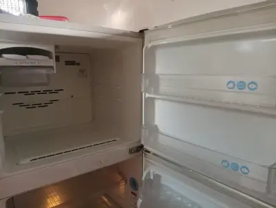 Refrigerador LG de dos puertas en buen estado - miniatura 4