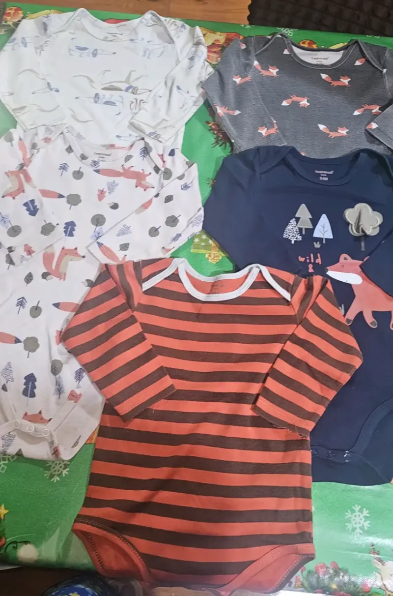 Lote de bodies para bebé con diseños variados - 2